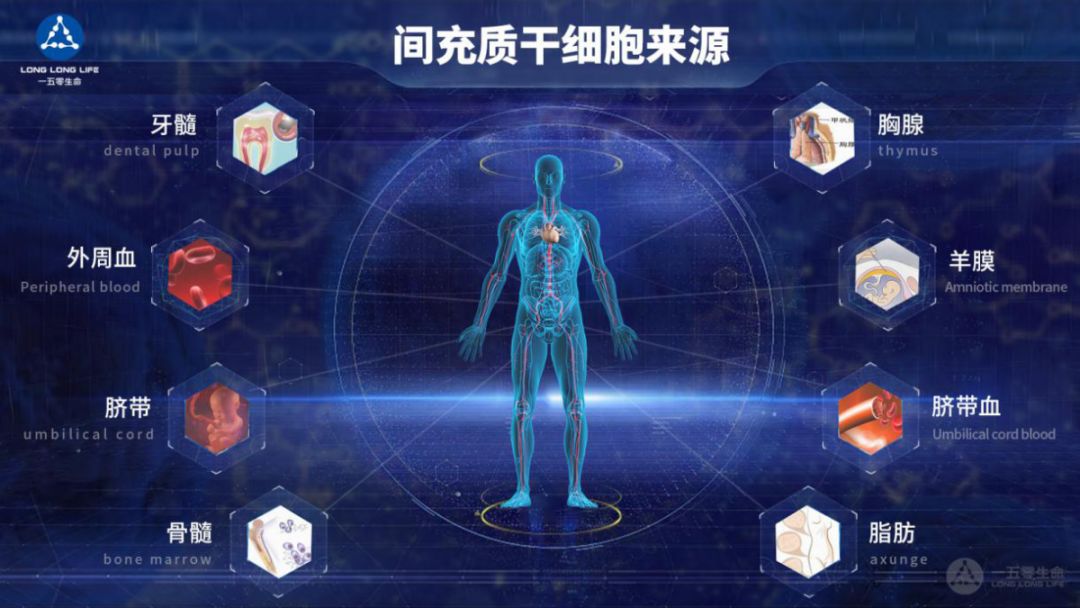 明日方舟资深干员词条一览_明日方舟资深干员tag搭配_明日方舟资深干员搭配支援