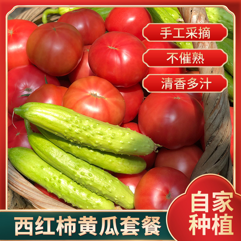 种菜致富，模拟农场16等你来！