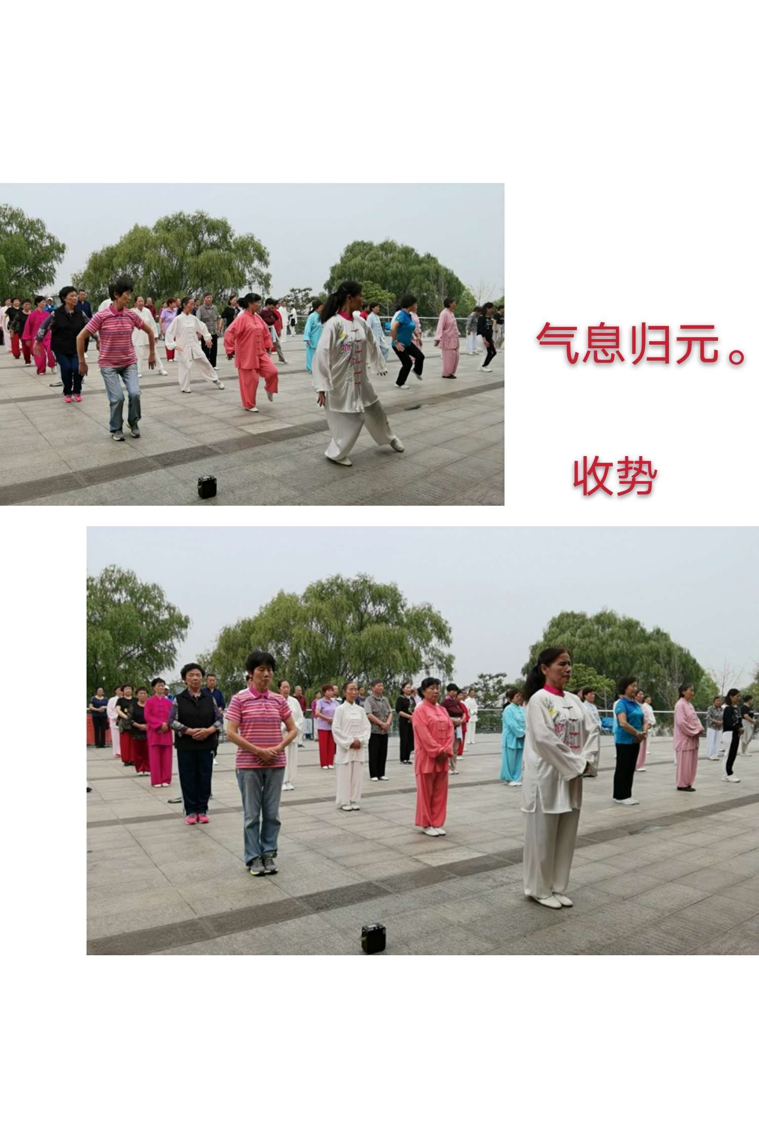 迪迦气功游戏下载手机版_气功精选下载_气功下载
