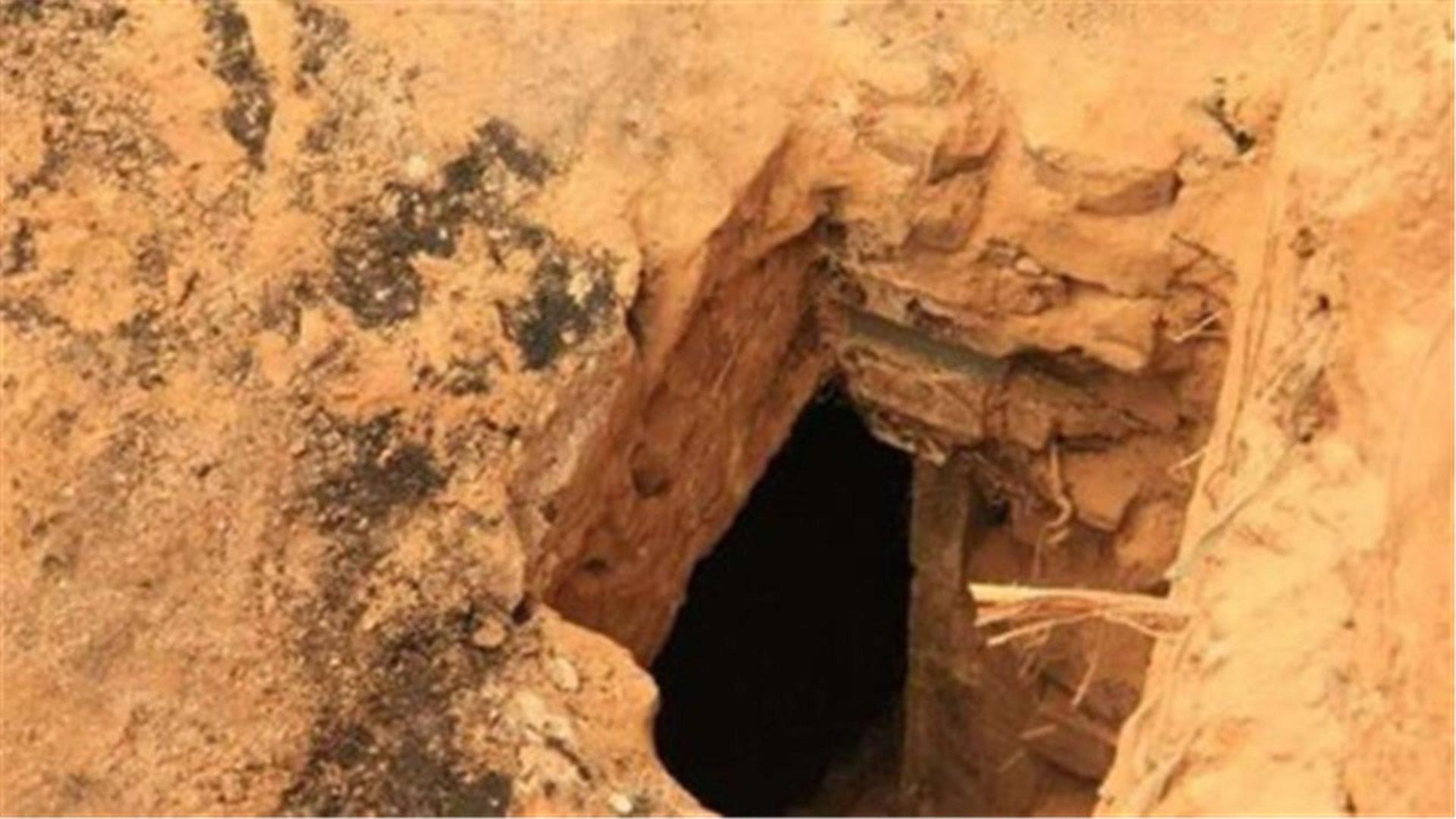 单机盗墓版手机游戏排行榜_单机盗墓游戏手机游戏_盗墓游戏单机手机版