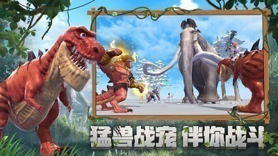 751c828a5229cf33ed62b4479a2e280f (1).jpg