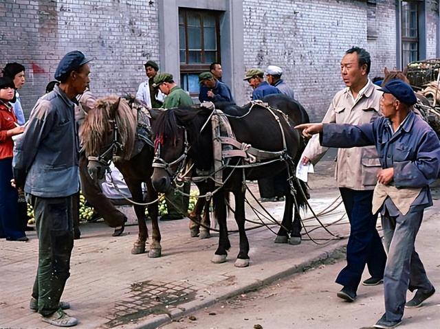 游戏模拟餐厅经营手机怎么玩_餐厅模拟经营游戏手机游戏_餐厅模拟经营类的手机游戏
