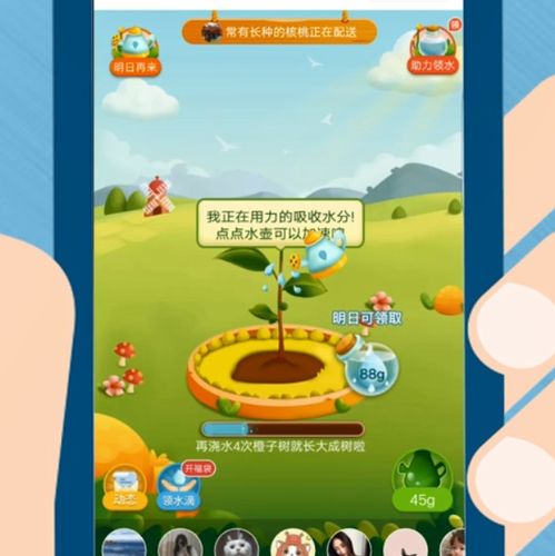老农种树 