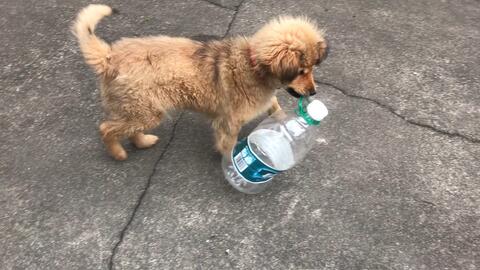 水瓶跳一跳 