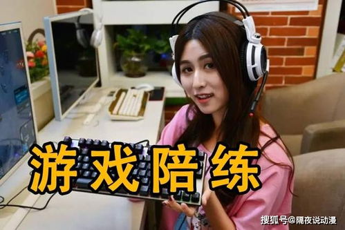 培训鹿AI智能陪练软件最新版下载安装 