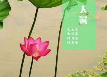 泡泡大作战游戏手机游戏 