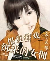 SD女佣高级版 