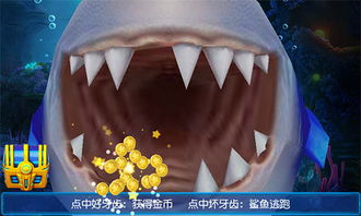 鲨鱼游戏交易 