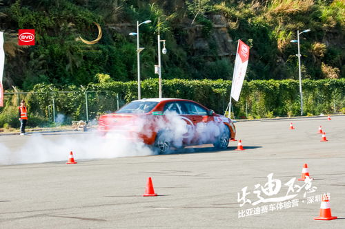 提瓦特赛车游戏下载安装手机版 