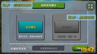 种子猫 