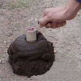 泡泡大作战游戏手机游戏 