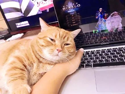 熊猫睡眠免费版 